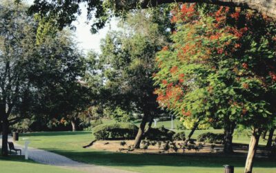 Familie & Kinder in Dubai – Schulen, Alltag & Leben